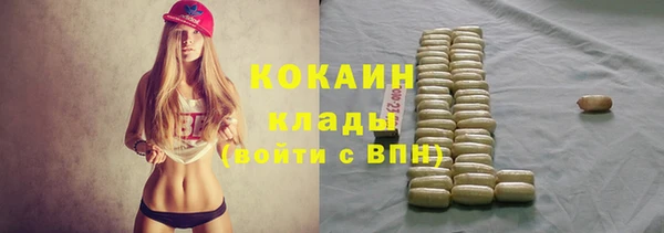 прущий лед Алексин