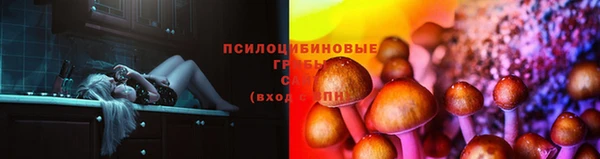 скорость Алзамай