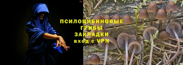 прущий лед Алексин