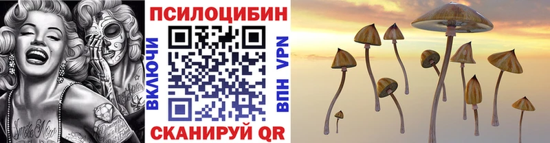Галлюциногенные грибы Psilocybe  купить   Мещовск 